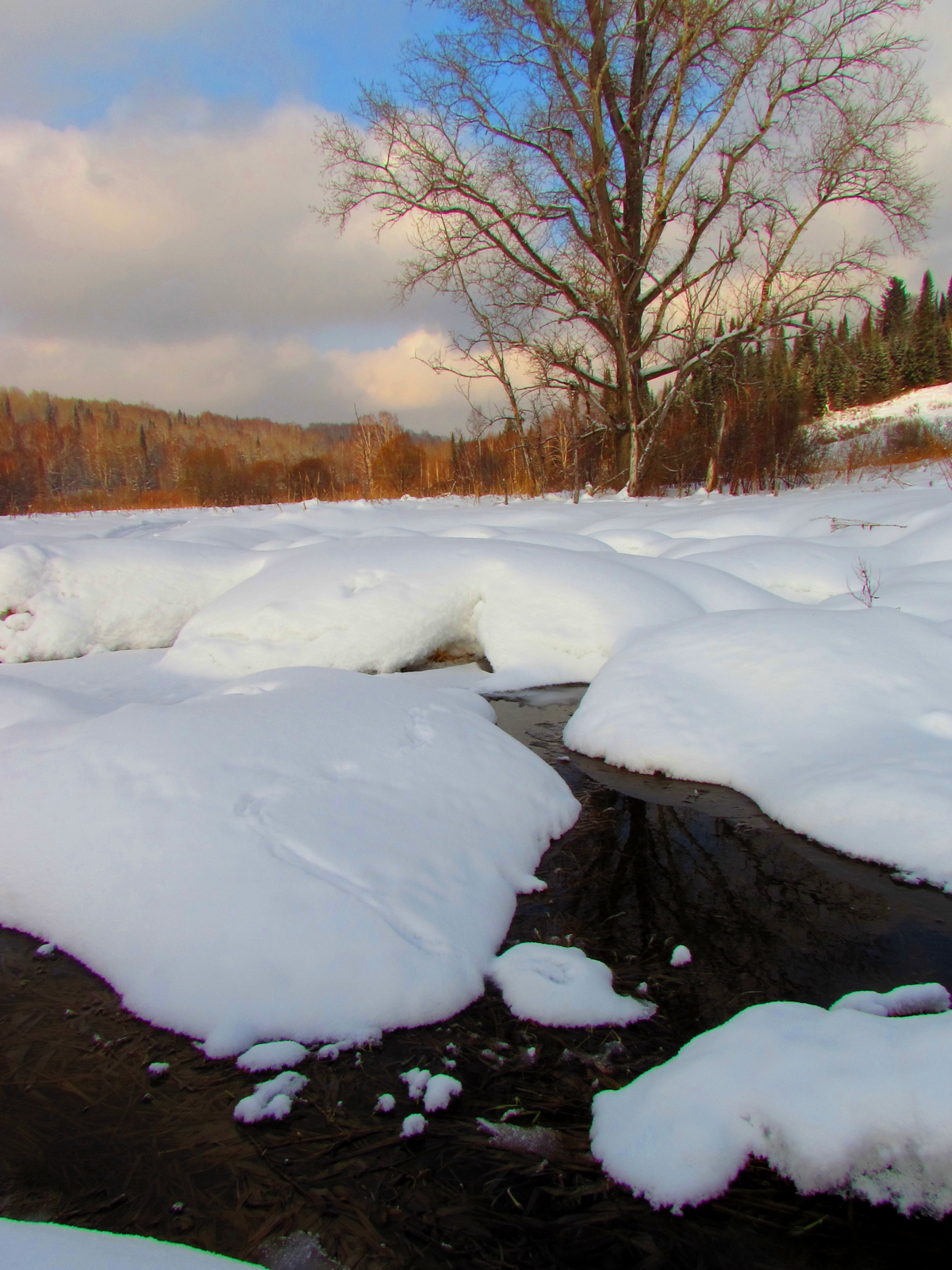 Погода в салаире на неделю. Салаир зимой. Незамерзающий ручей в Оймяконе. Салаир Мартена Московская зимой. Национальный парк Салаир картинки зимой.