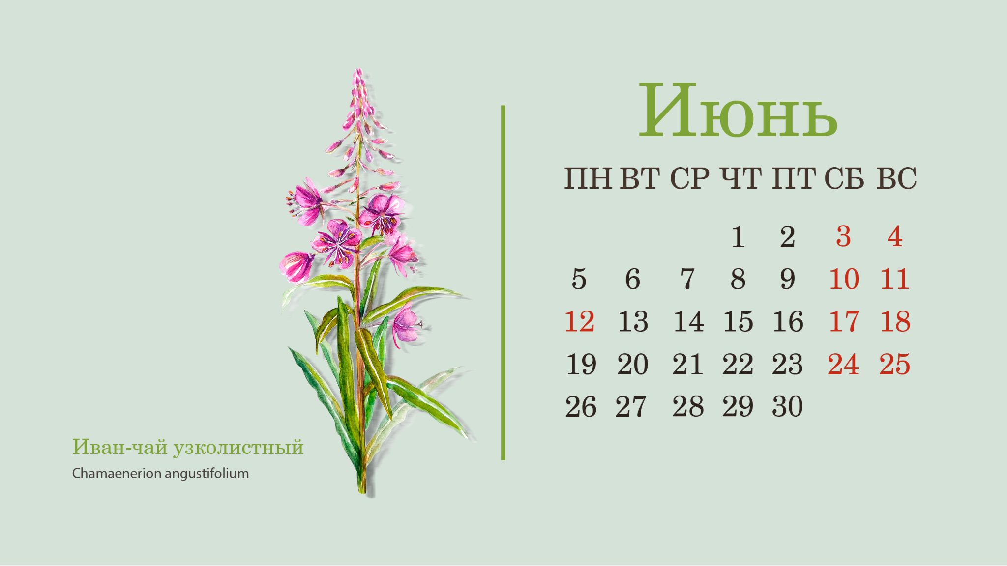 Календарь июня месяца 2025 года